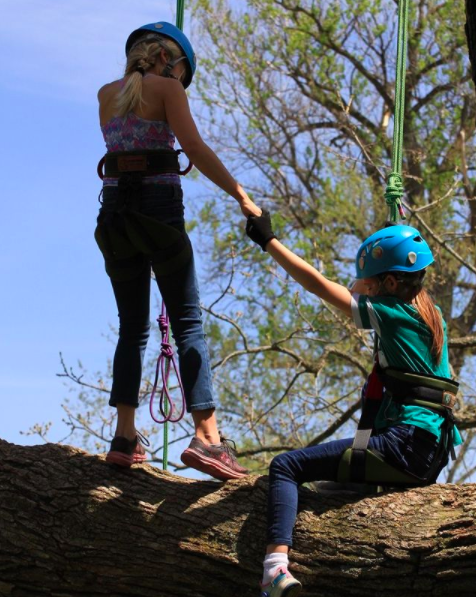 Two girls climbing a tree together.